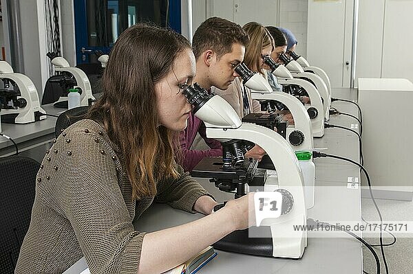 Studenten beim Mikroskopierkursus in der Fakultät Biologie an der Universität Duisburg-Essen
