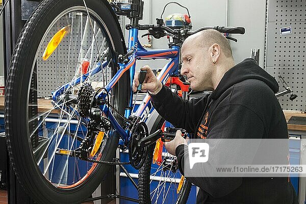 Zweiradmechaniker in der Fahrradwerkstatt während einer Inspektion an einem Mountainbike  Kontrolle und Einstellen der Schaltung