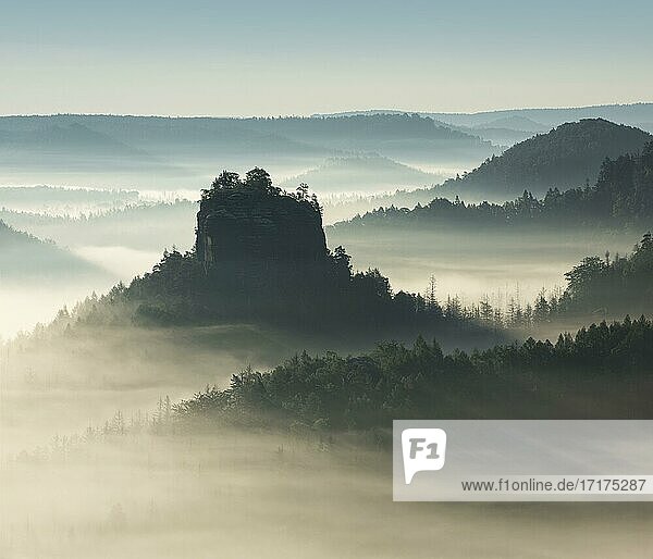 Morning atmosphere in the Elbe Sandstone Mountains  view of the Hintere Raubschloß or Winterstein  fog in the valley  Saxon Switzerland National Park  Saxony  Germany  Europe