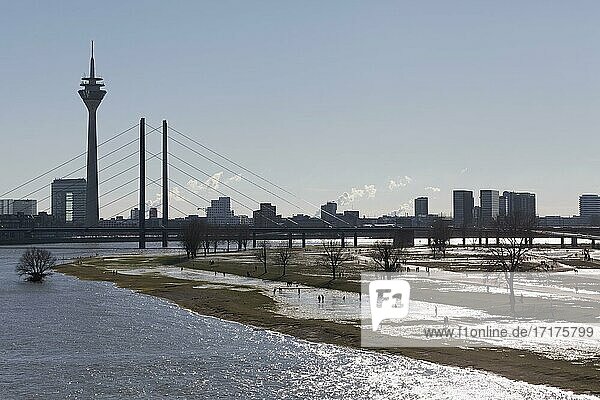 City panorama with flooded Rhine meadows  winter  Oberkassel bridge  Rhine tower  Düsseldorf  North Rhine-Westphalia  Germany  Europe
