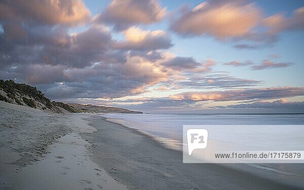 Sandstrand bei Sonnenuntergang  Saint Clair Beach  Dunedin  Otago Peninsula  Otago  Südinsel  Neuseeland  Ozeanien