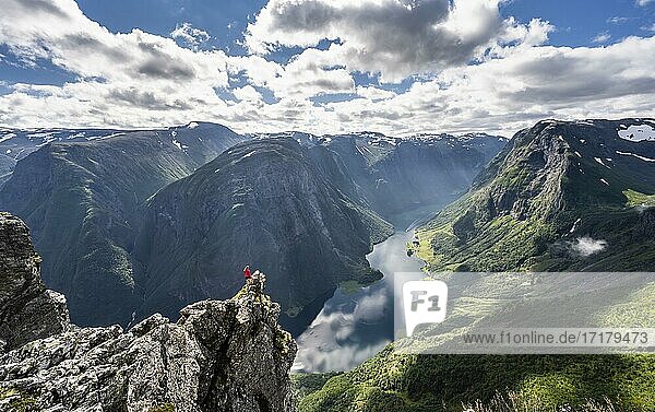 Hiker standing on rocky outcrop  view from the top of Breiskrednosi  mountains and fjord  Nærøyfjord  Aurland  Norway  Europe