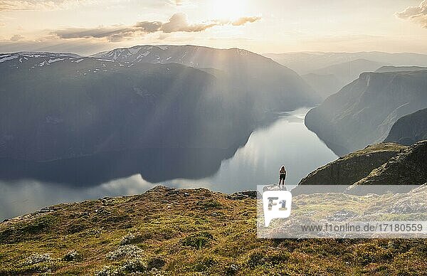 Evening atmosphere  hiker at the top of the mountain Prest  fjord Aurlandsfjord  Aurland  Norway  Europe