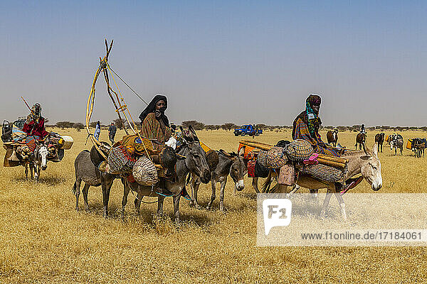 Peul Frau mit ihren Kindern auf ihren Eseln in der Sahelzone  Niger  Afrika