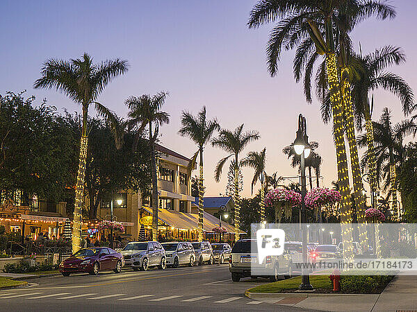 View along palm-lined 13th Avenue South in the heart of the city's premier dining district  dusk  Naples  Florida  United States of America  North America