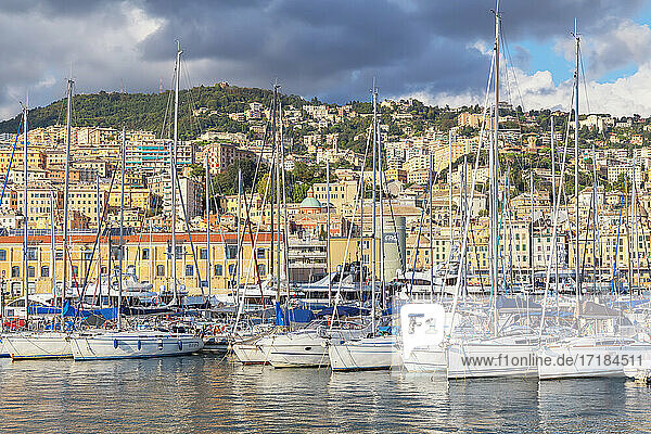 Ansicht des historischen Viertels und des Porto Antico (Alter Hafen)  Genua  Ligurien  Italien  Europa
