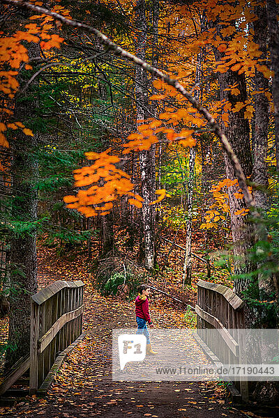 Junge  der im Herbst auf einem unbefestigten Waldweg in einem Park spazieren geht