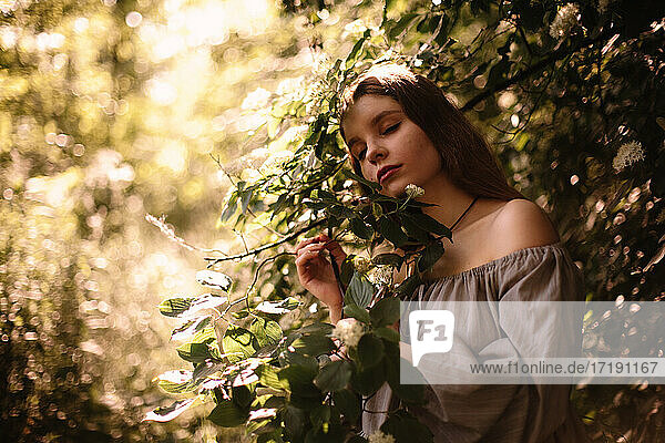 Friedliche junge Frau steht bei blühenden Zweigen im Park im Sommer