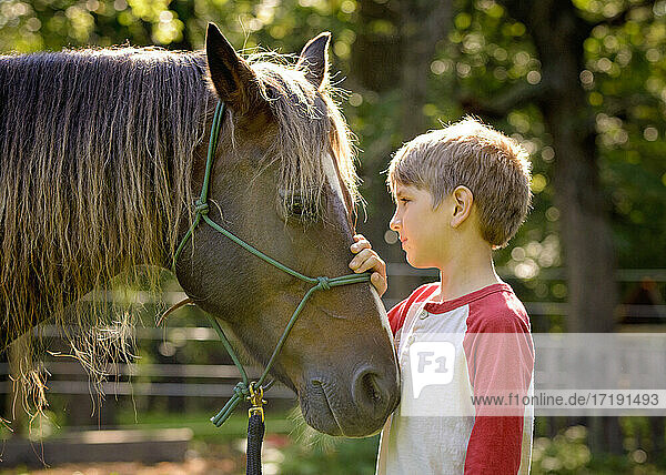Hübscher Junge  der sein Pferd mit der Hand auf dem Kopf betrachtet.
