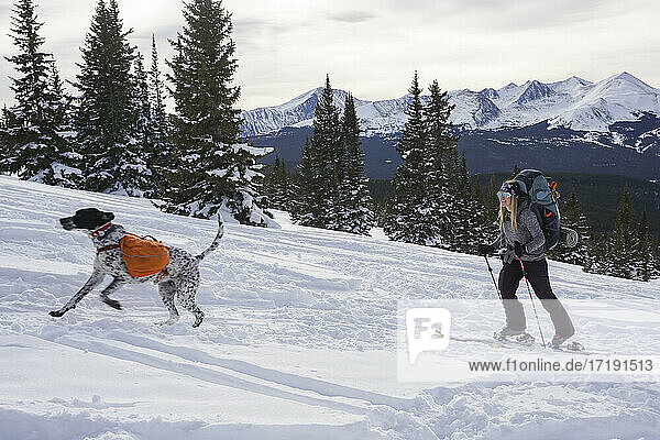 Woman splitboarding while dog running on mountain during winter