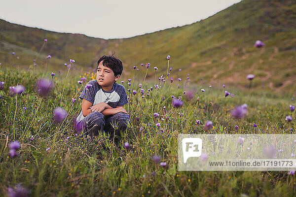 Young boy sitting on a field of wild flowers in the Spring.