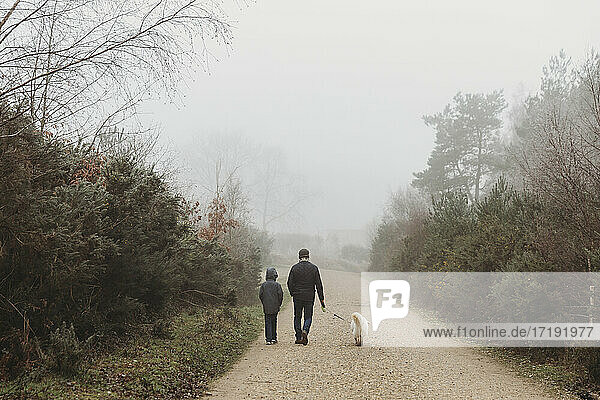 Rear view of father and son walking dog along gravel path in fog