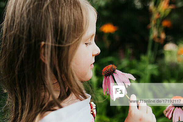 Junges Mädchen riecht an einer frisch gepflückten Doldenblüte aus ihrem Garten.