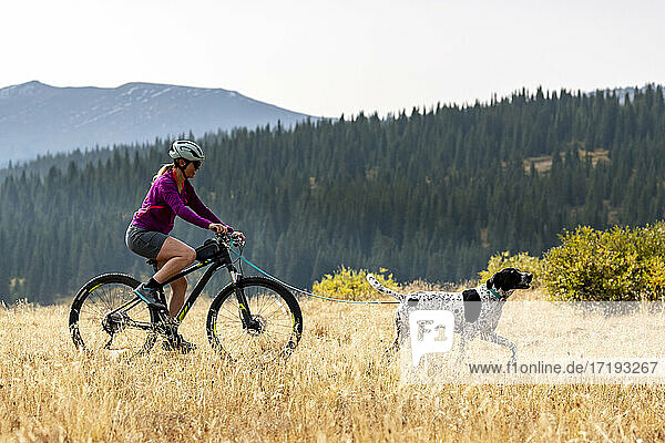 Side view of smiling woman cycling behind dog on field during vacation