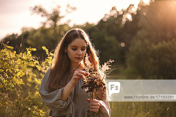 Teenager-Mädchen hält einen Strauß getrockneter Blumen auf einem Sommerfeld