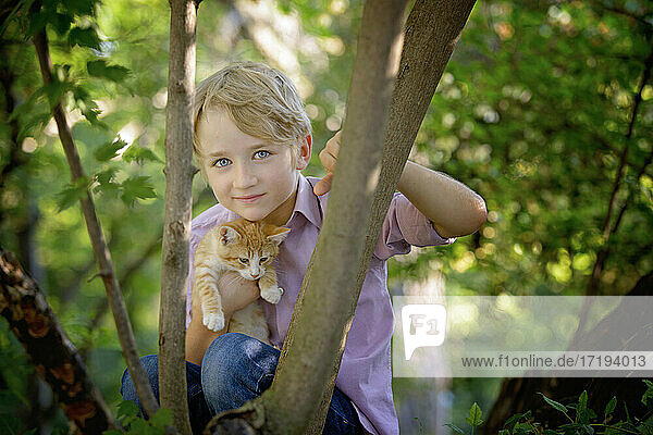 Little blond boy in a tree with a kitten in the country.