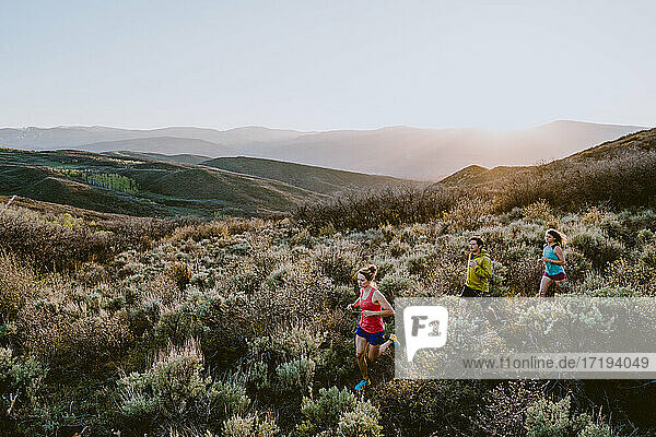 Drei Freunde beim Trailrunning in den Bergen zur goldenen Stunde