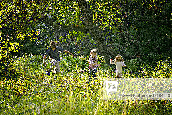 Drei blonde Kinder laufen auf einer schönen Wiese.