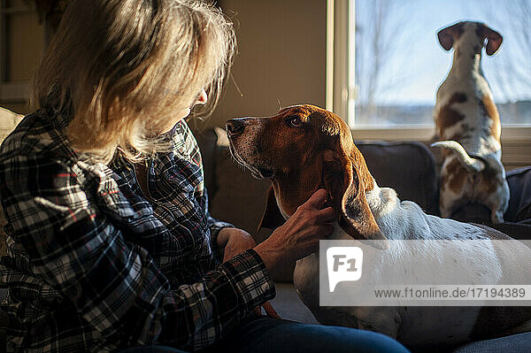 Frau 50-60 Jahre alt streichelt Basset Hound Hund auf der Couch zu Hause