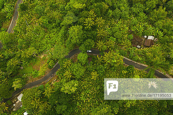 Draufsicht auf ein Auto  das auf der Asphaltstraße durch den üppigen grünen Dschungel fährt Auto auf der Straße  die an einem ländlichen Haus im Regenwald in Bali  Indonesien  vorbeiführt