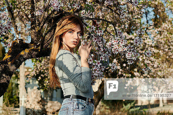 Portrait of a young blue-eyed woman surrounded by almond blossoms