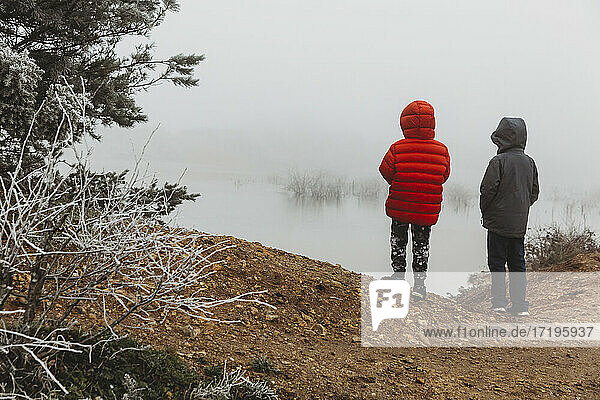 Rear view of two brothers looking at a frozen lake on a foggy day