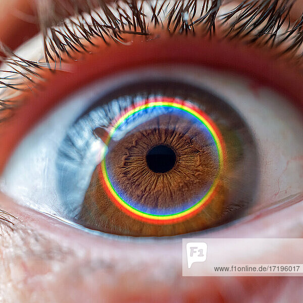 Regenbogen auf dem braunen Auge  Menschenauge