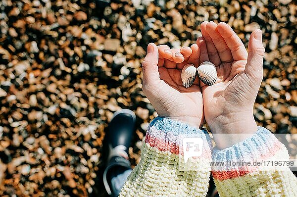 Kind mit Muscheln in der Hand an einem sonnigen Tag in England