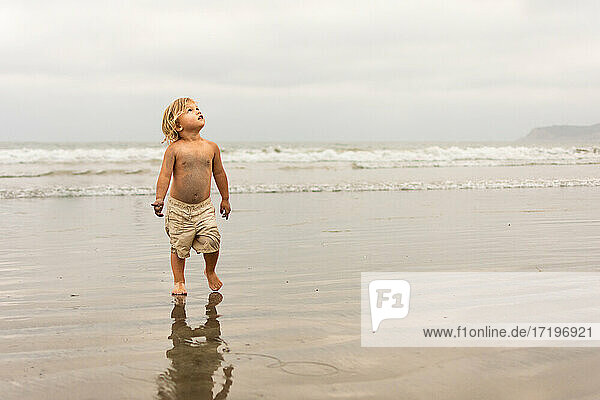 Blonde toddler boy on the beach wearing khaki shorts looking up at sky