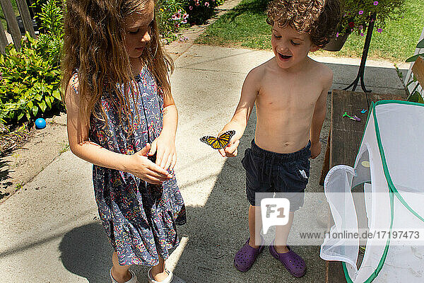 High angle view of boy holding a monarch butterfly while standing in his yard