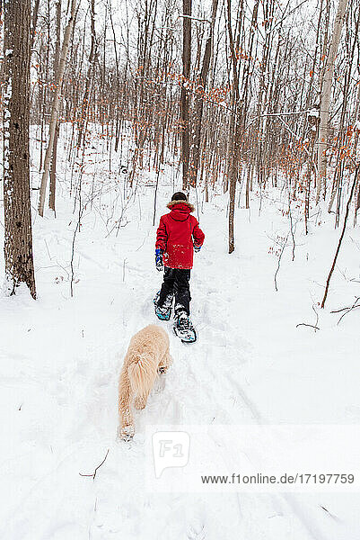 Young boy snowshoeing with dog in the woods on a snowy winter day.