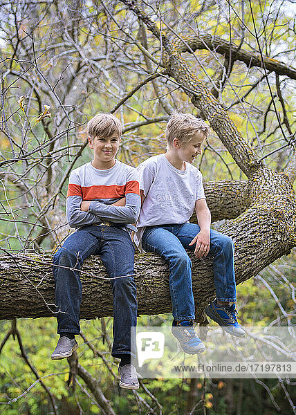 Two young boys sitting on a tree branch in the woods.