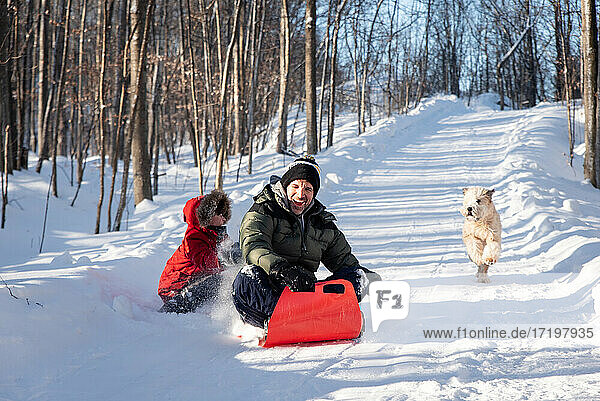 Father and son sledding down snowy hill with their dog on winter day.