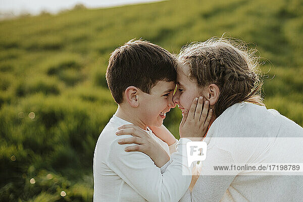 Junge und Mädchen reiben sich lächelnd die Nasen auf einer Wiese an einem sonnigen Tag