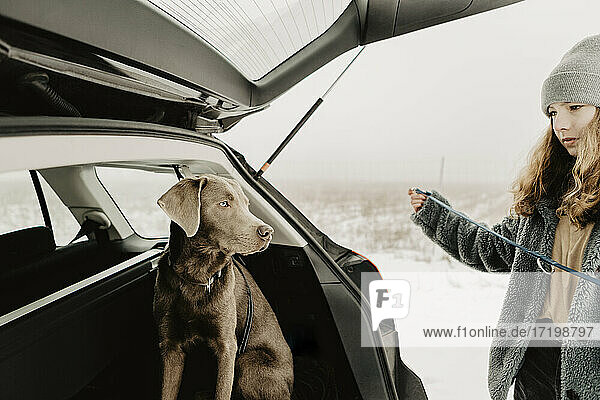 Labrador Retriever wartet im offenen Kofferraum auf seine Besitzerin