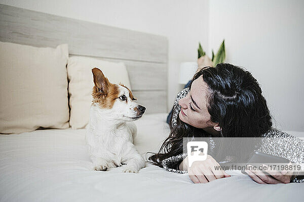 Woman looking at Jack Russell Terrier while lying on bed at home