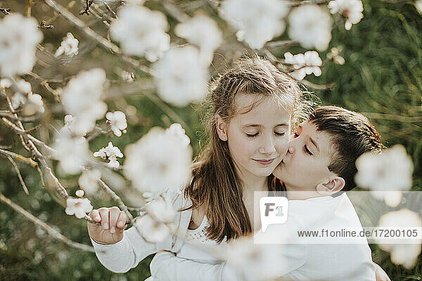 Bruder küsst Schwester auf Wange durch Mandelblüten