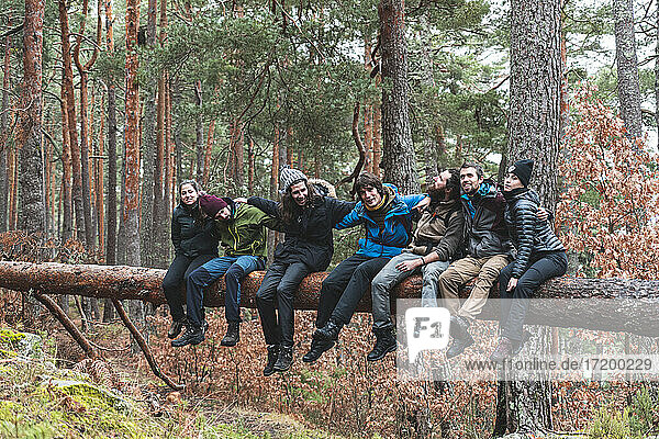 Gruppe von Wanderern  die gemeinsam auf einem umgestürzten Baum im Herbstwald sitzen