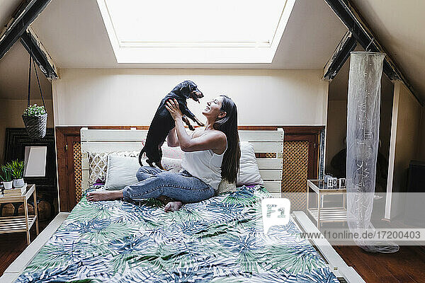 Playful woman holding dog while sitting on bed at home