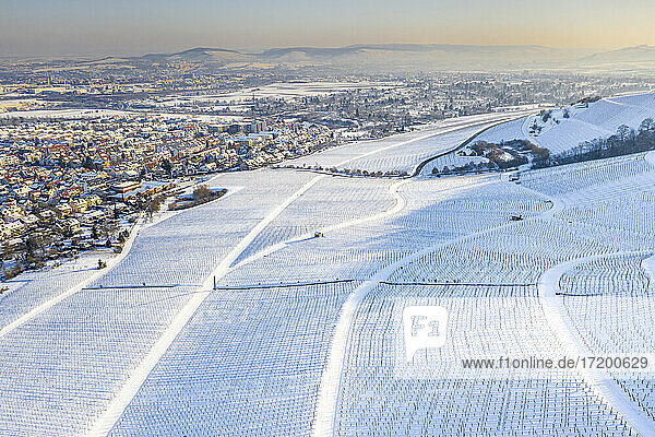 Germany  Baden Wurttemberg  Snow covered vineyard on Kappelberg in winter