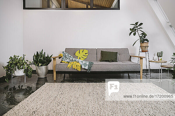 Sofa und Topfpflanzen vor weißer Wand in Loftwohnung