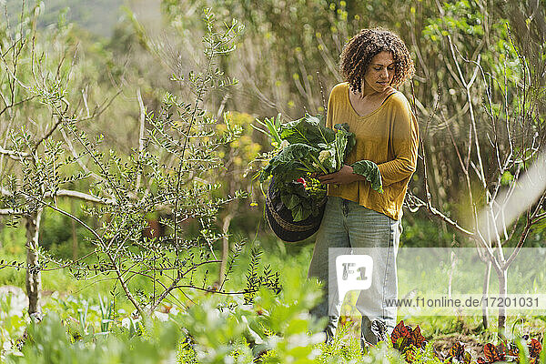 Frau hält Gemüse im Permakultur-Garten