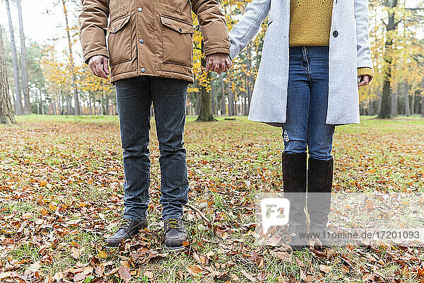 Couple holding hands while standing on fallen leaves in forest during autumn