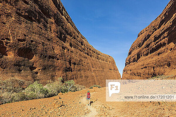 Australien  Northern Territory  Wandern im Uluru Kata Tjuta National Park in der Zentralaustralischen Wüste