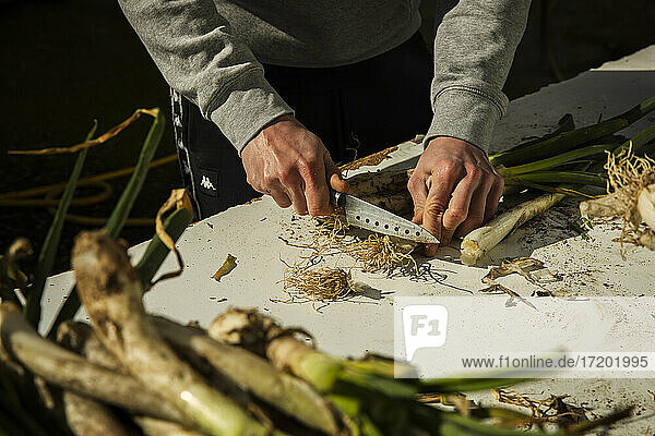 Teenage boy cutting Scallion on table while standing outdoors