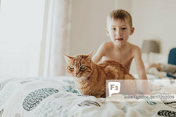 Boy sitting with ginger cat on bed