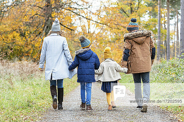 Children holding hands of parents while walking on forest path