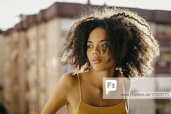 Beautiful woman with black frizzy hair looking away during sunny day