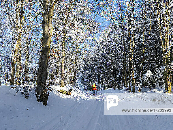 Deutschland  Schwarzwald  Freiamt  Person beim Wandern auf dem Schillinger Berg im Winter