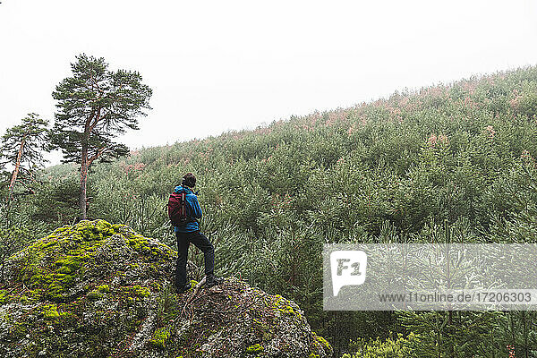 Männlicher Wanderer bewundert den umliegenden Wald von der Spitze eines großen Felsblocks aus